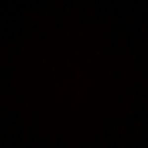 Meet your Posher, Jake